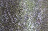 Low Walton fibreglass roof work