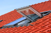 Low Walton roof window